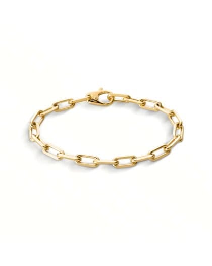 Santos de Cartier bracelet